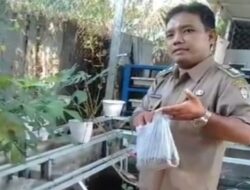 Di Kecamatan Ujung Pandang, Kelurahan Baru Sukseskan Inovasi MULIATA dengan Pengolahan Sampah 3R